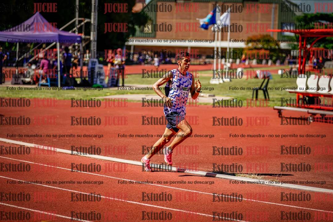 Fotos de los 800 m llanos de varones