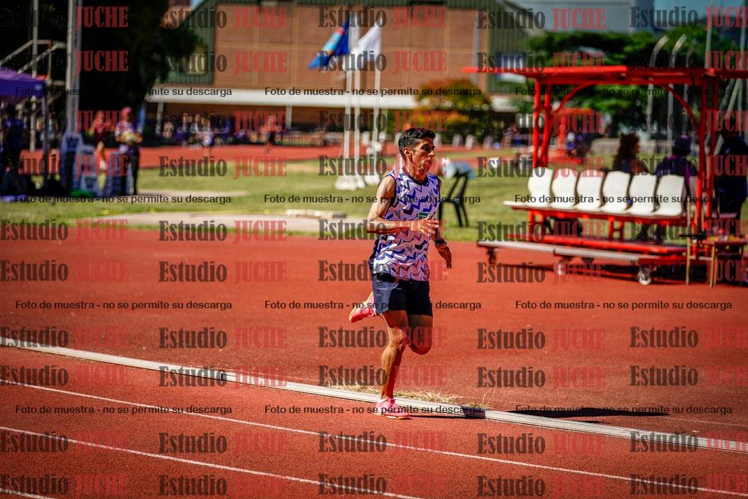 Fotos de los 800 m llanos de varones