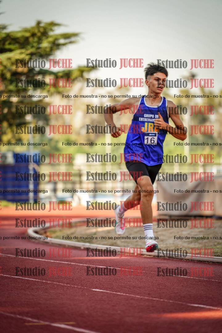 Fotos de los 800 m llanos de varones