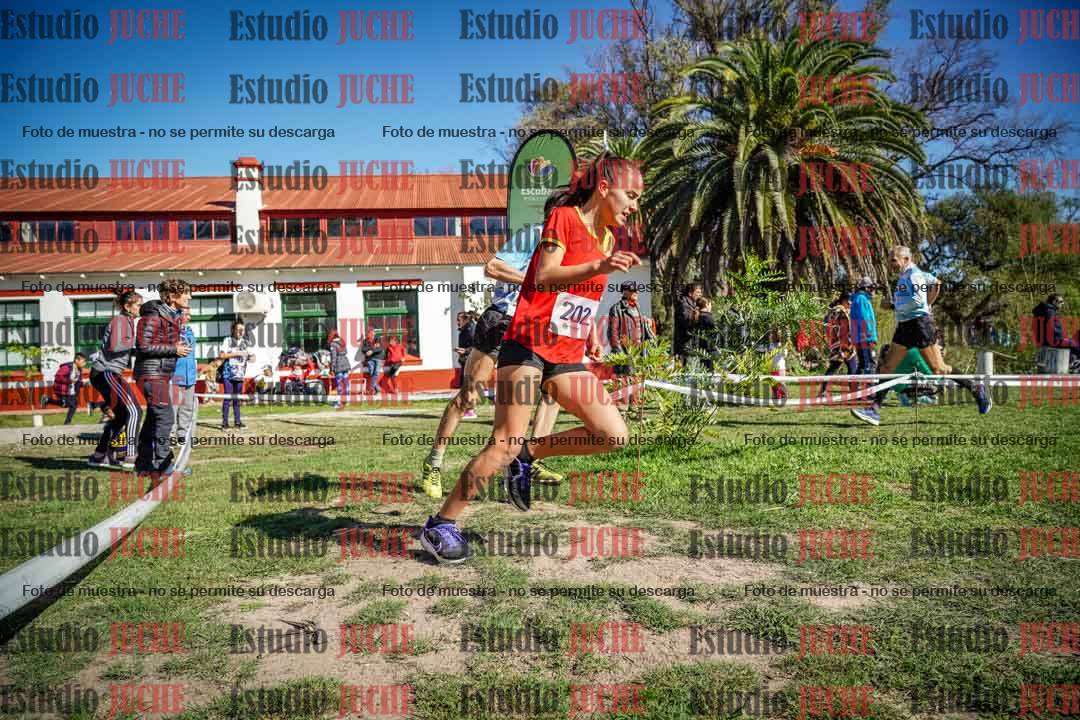 Fotos en el segundo punto del circuito
