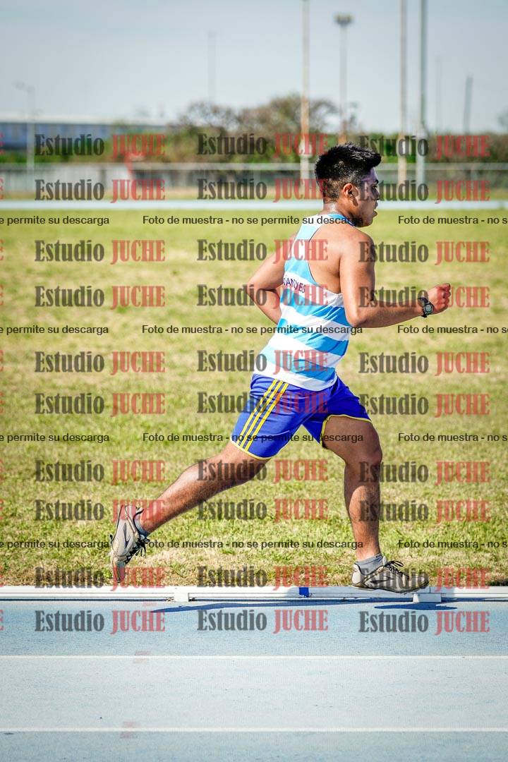 Fotos de los 3000 m llanos de varones