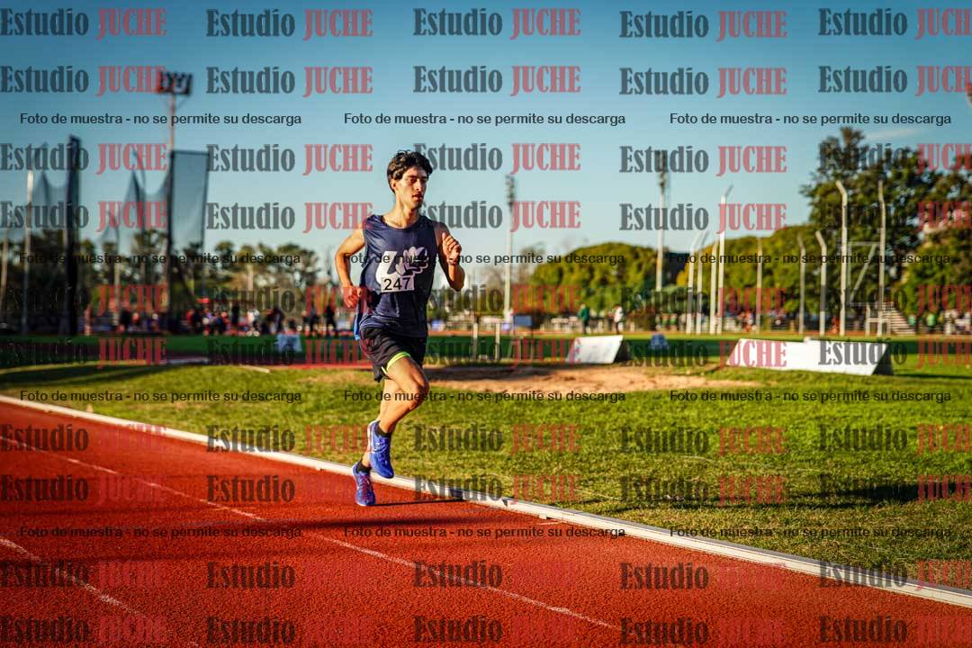 Fotos de los 3000 m llanos de varones