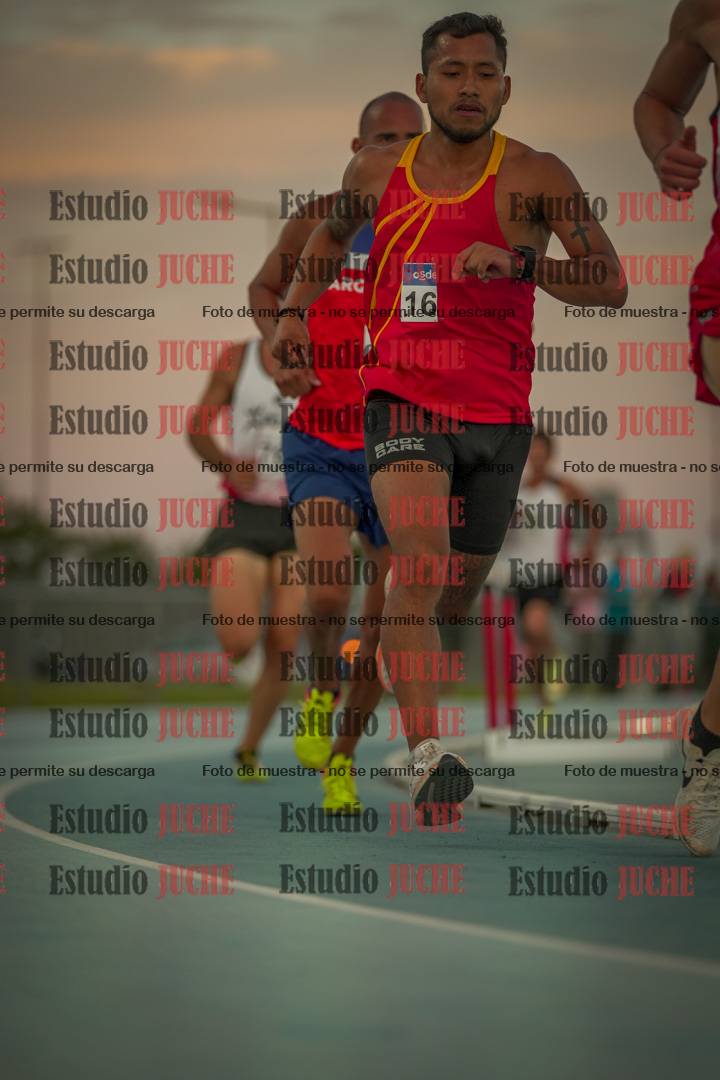 Fotos de los 3000 m llanos de varones