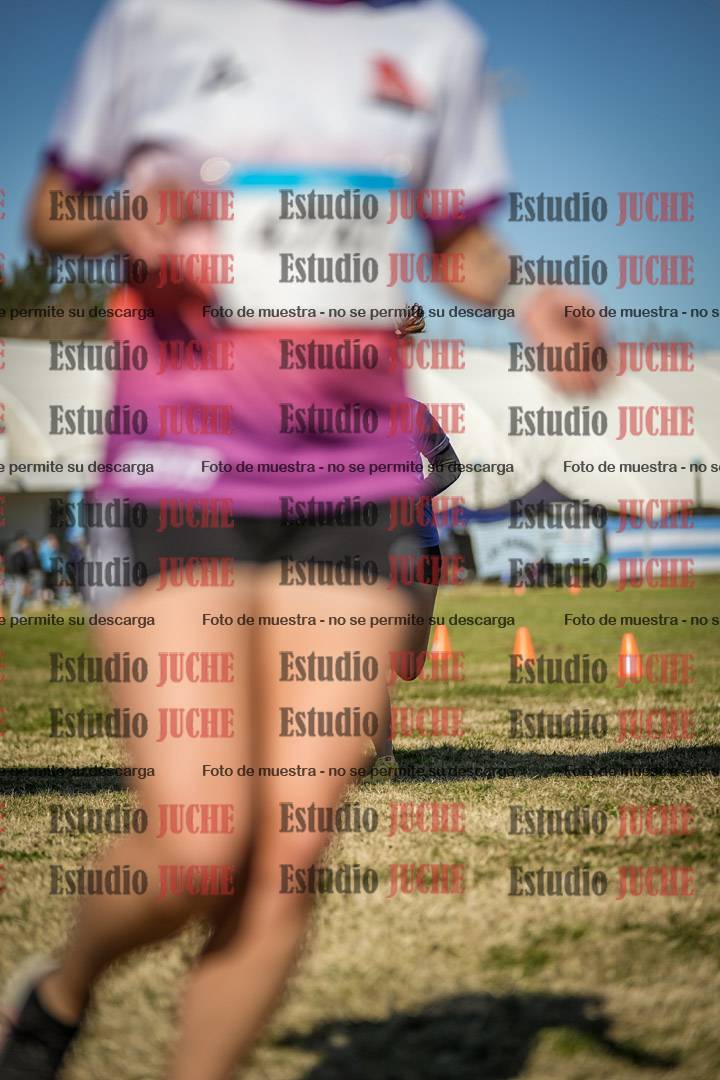 Fotos de las llegadas