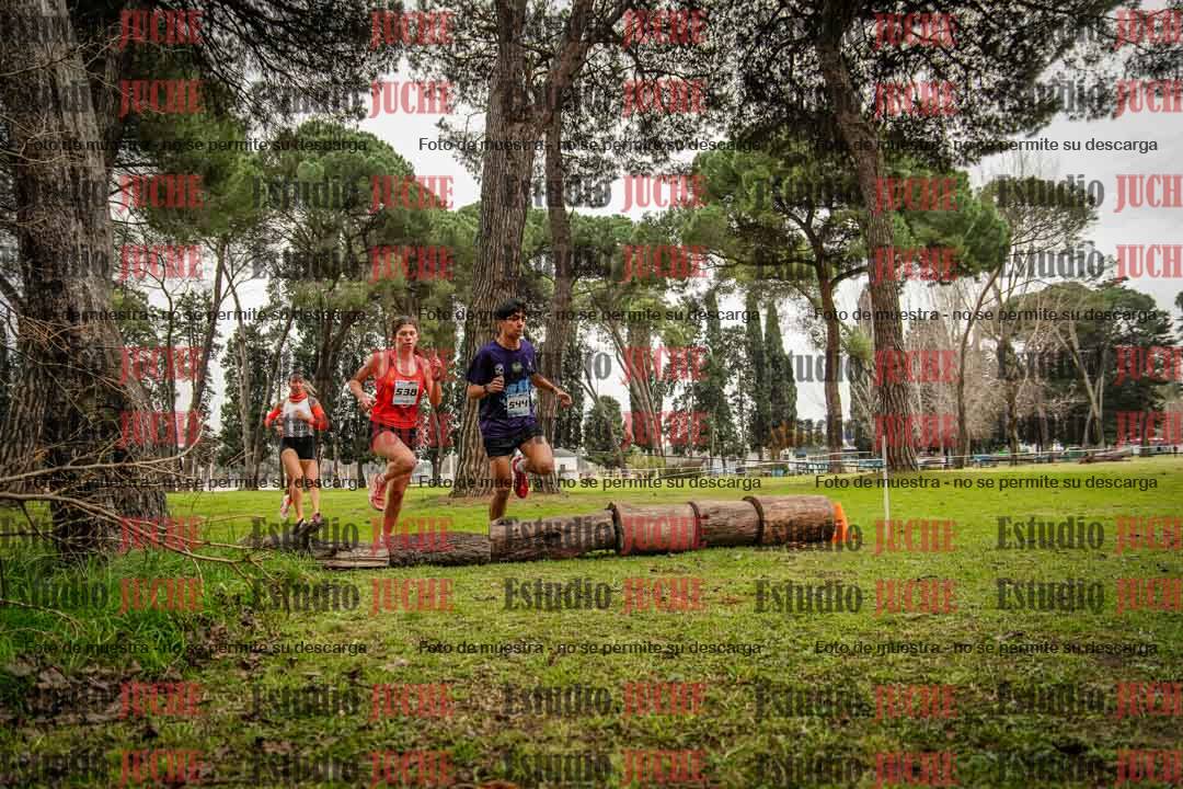 Fotos en el circuito