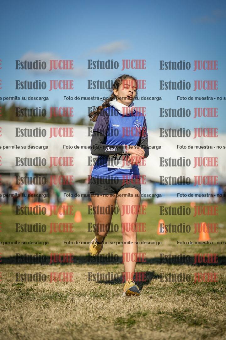 Fotos de las llegadas
