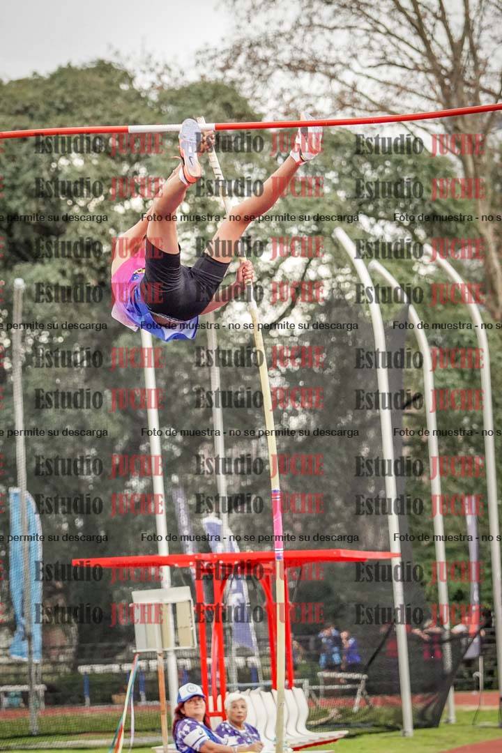 Fotos del salto con garrocha de varones