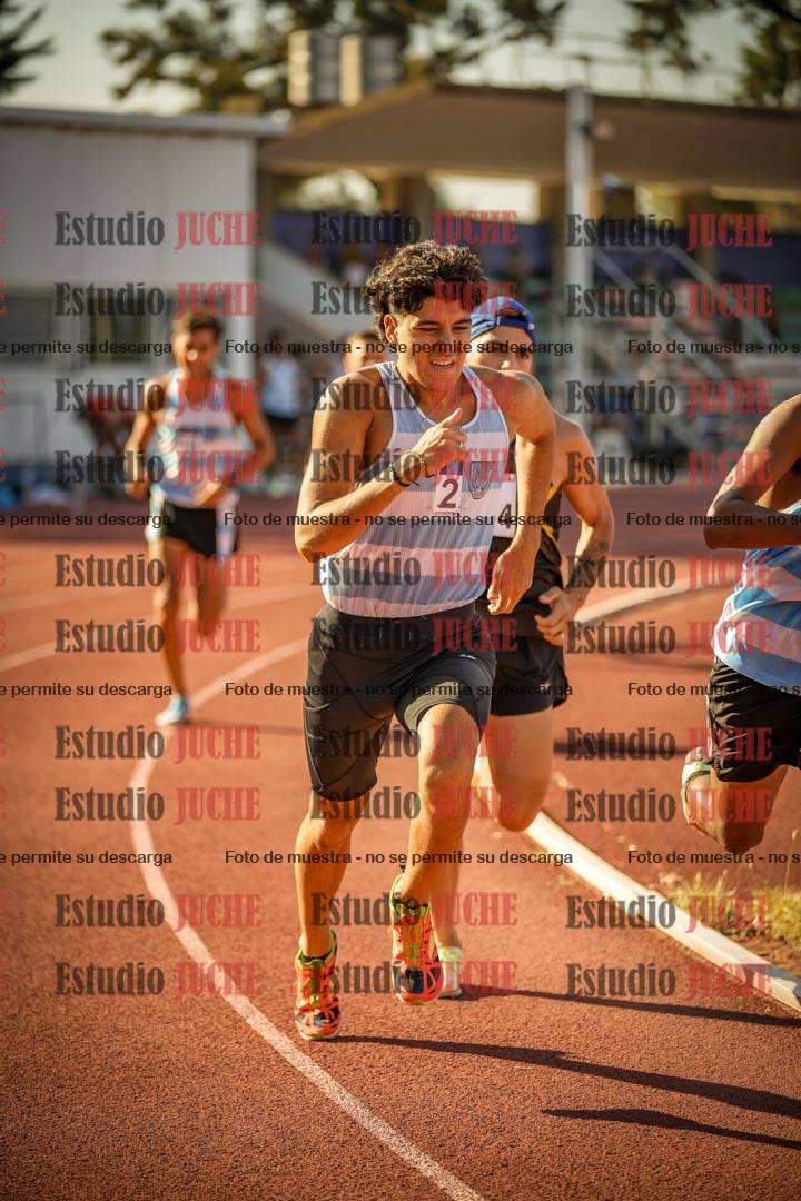 Fotos de los 800 m llanos de varones