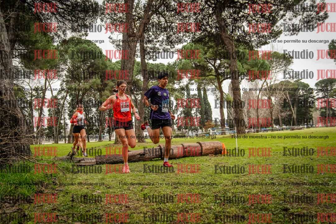 Fotos en el circuito