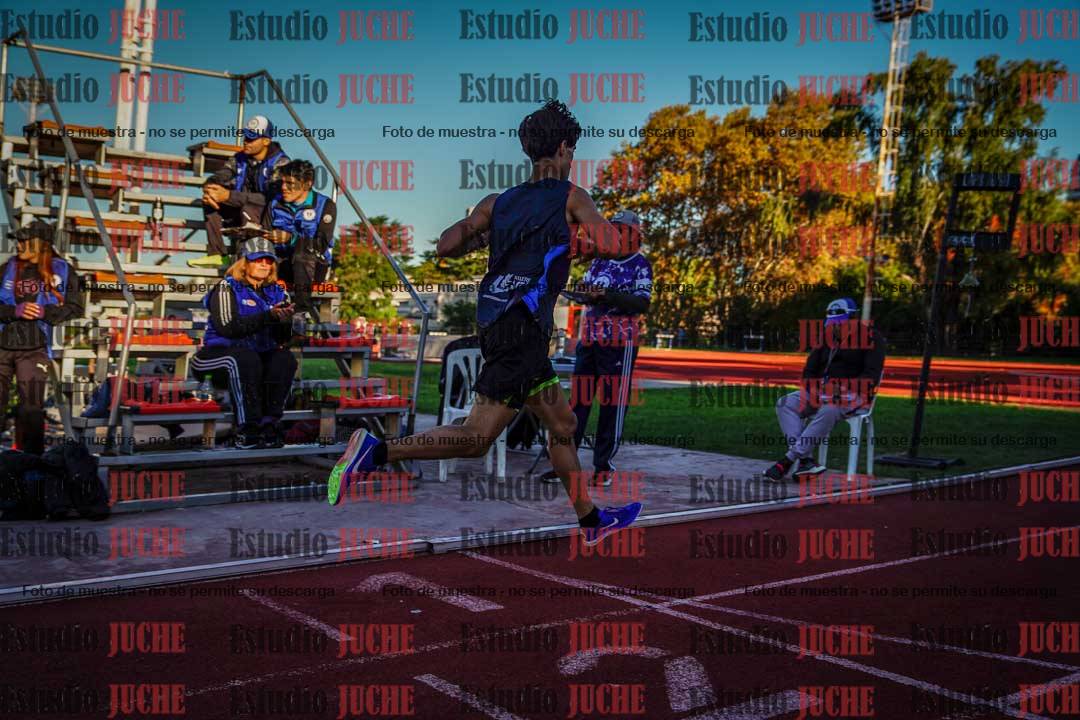 Fotos de los 3000 m llanos de varones