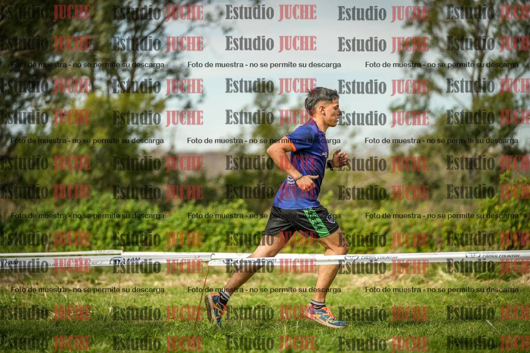 Fotos en el circuito