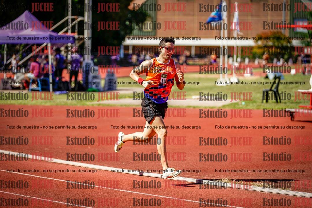Fotos de los 800 m llanos de varones