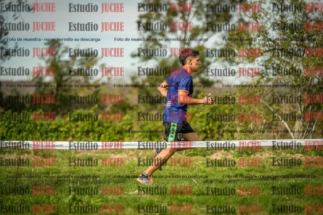 Fotos en el circuito