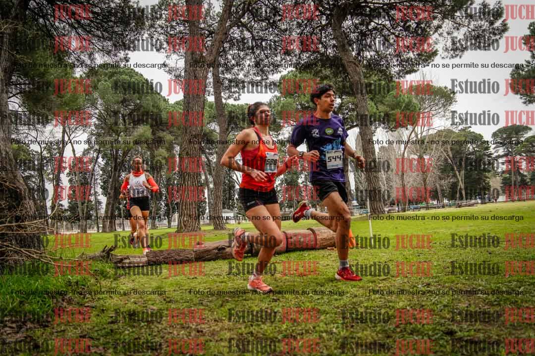 Fotos en el circuito