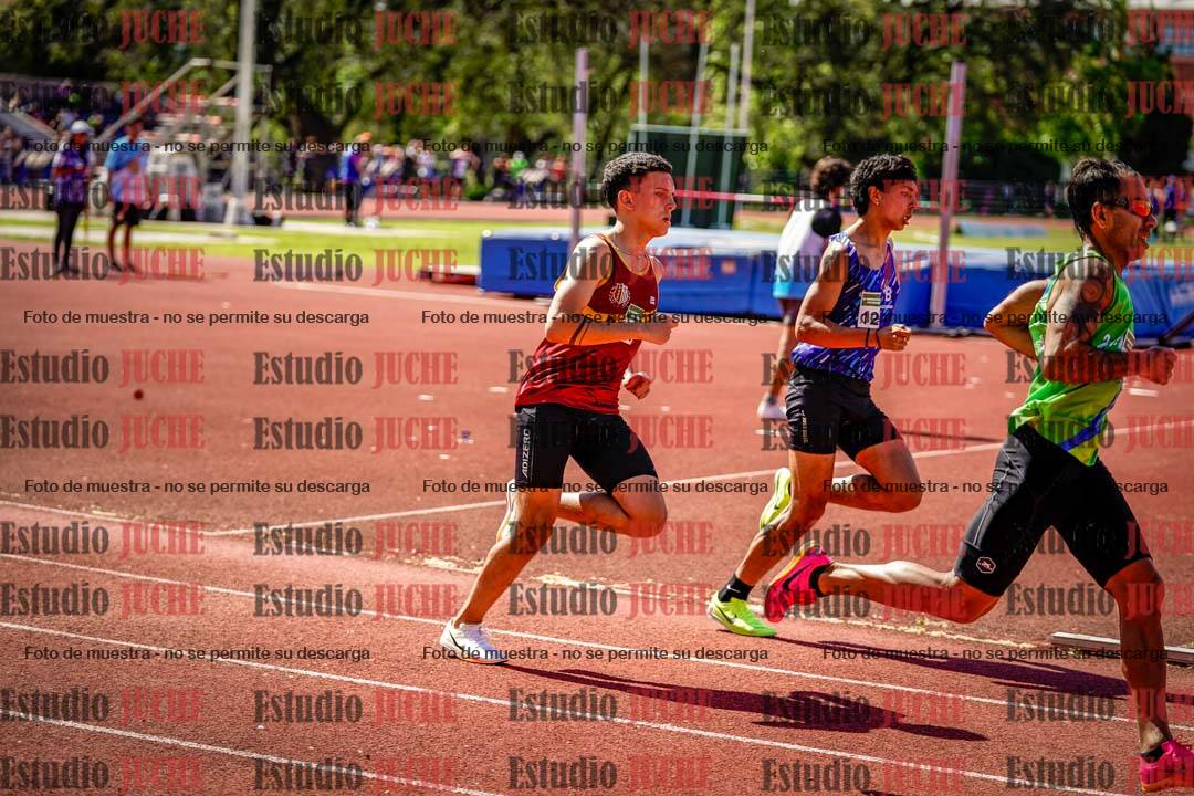 Fotos de los 800 m llanos de varones