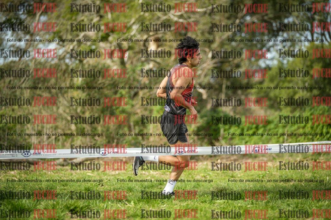 Fotos en el circuito