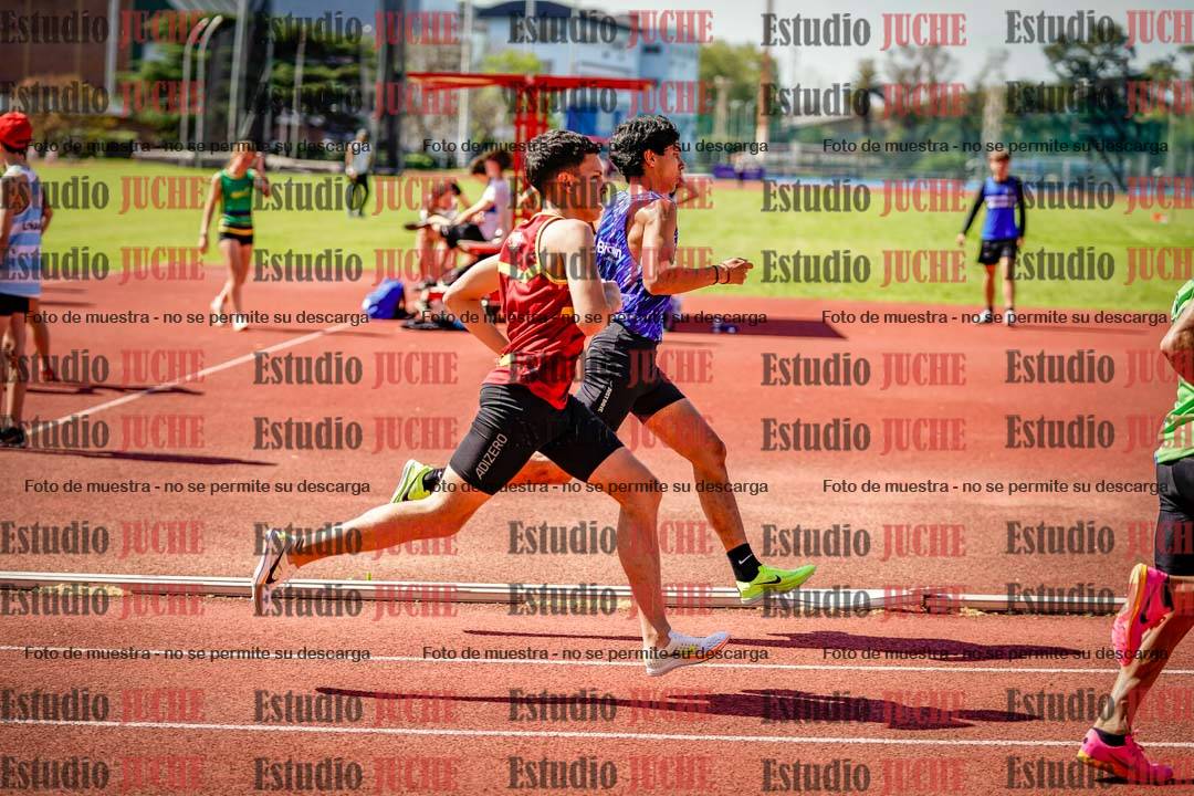 Fotos de los 800 m llanos de varones