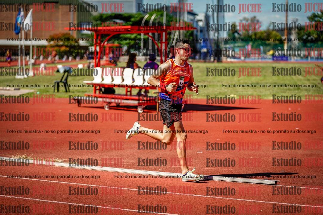 Fotos de los 800 m llanos de varones