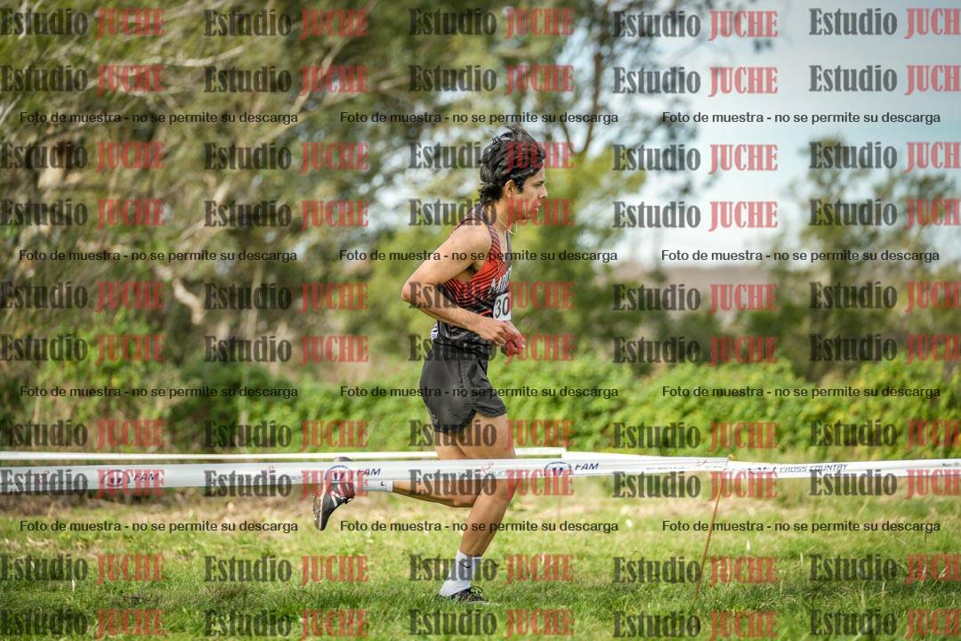 Fotos en el circuito