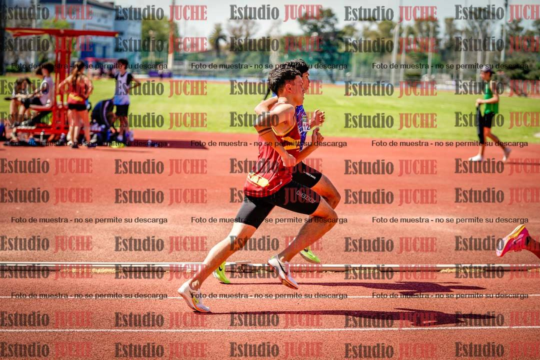 Fotos de los 800 m llanos de varones