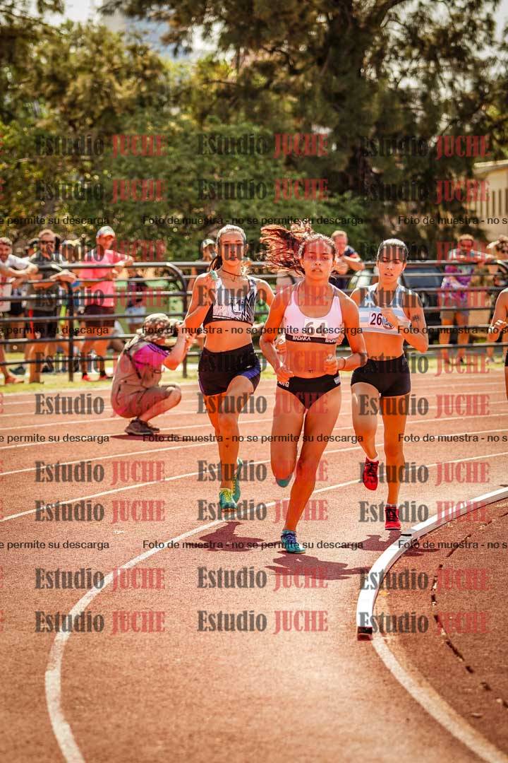 Fotos de los 800 m llanos de mujeres
