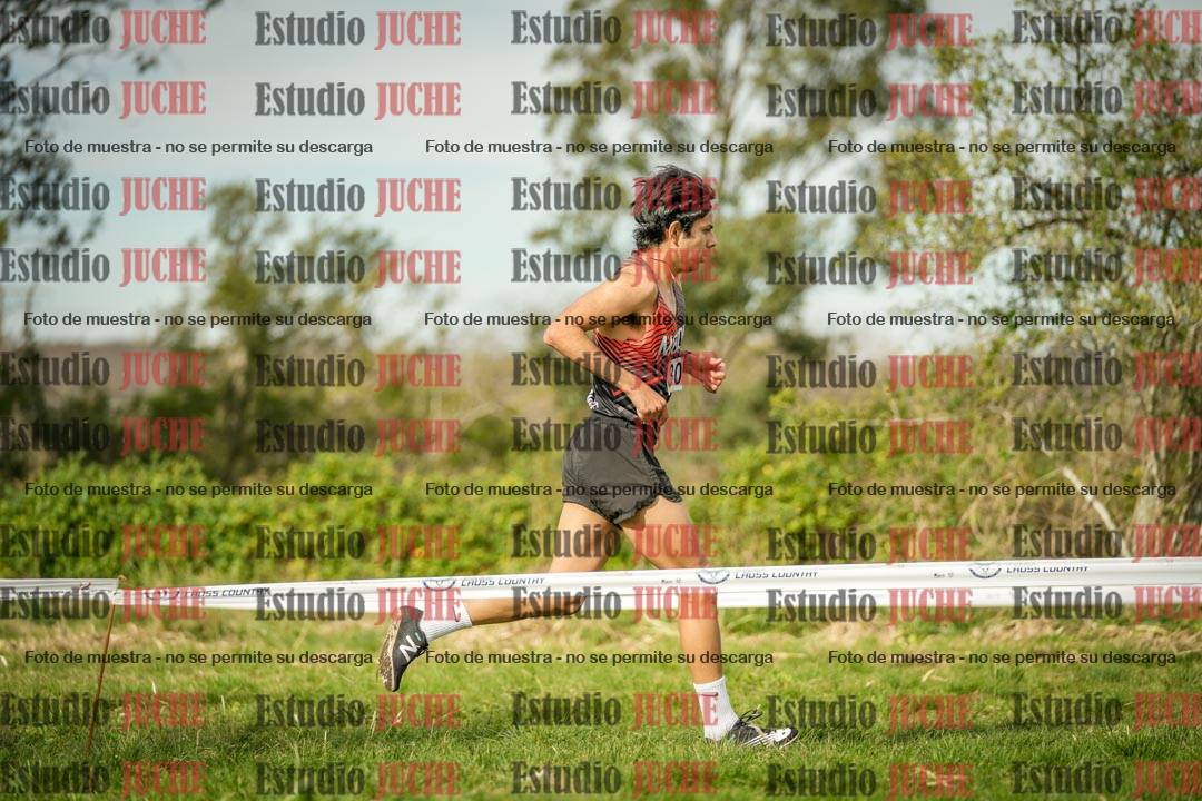 Fotos en el circuito