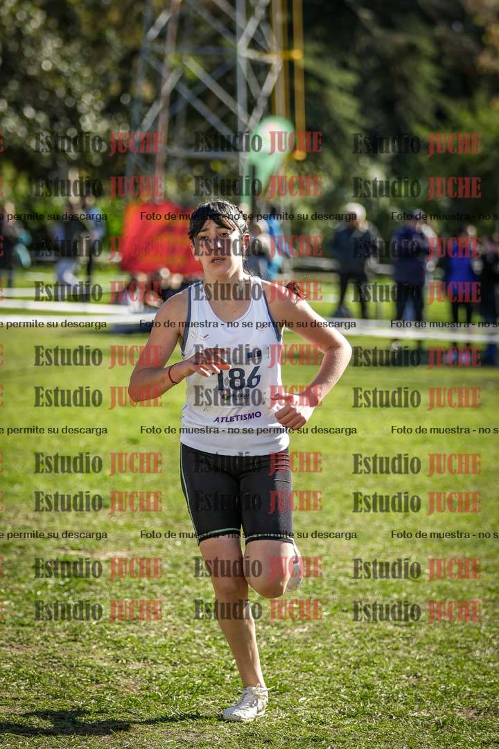 Fotos de la llegada del cross de 1500 m