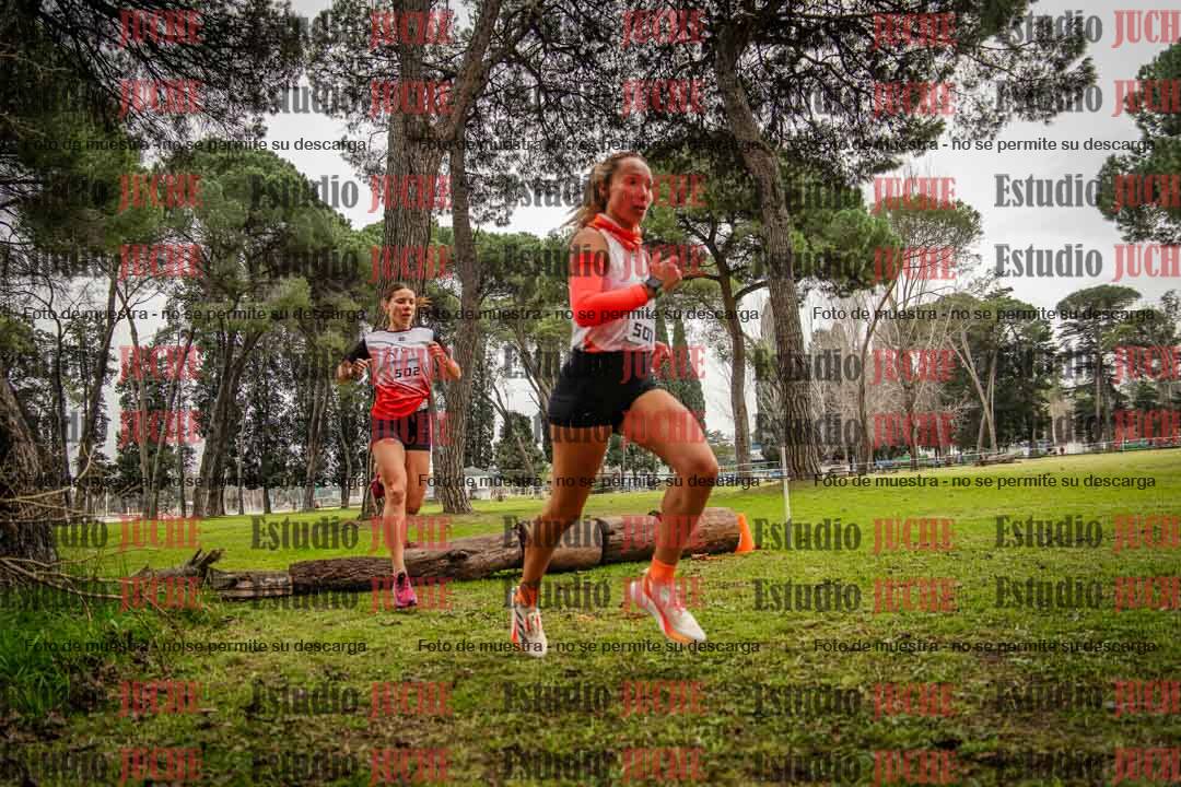 Fotos en el circuito