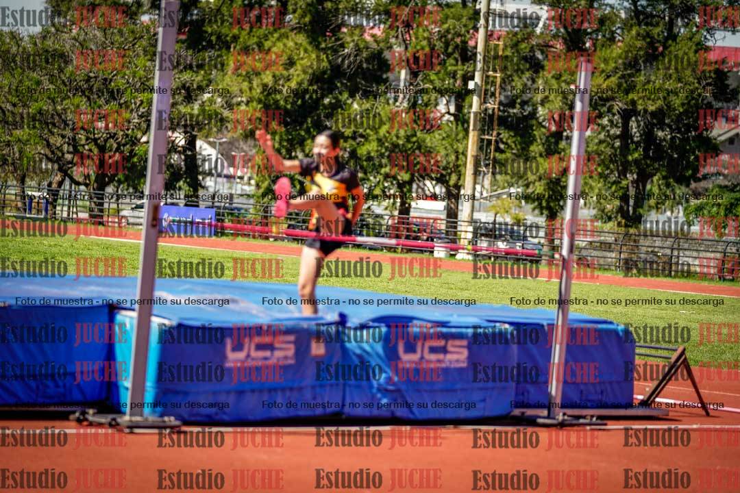 Fotos del salto en alto