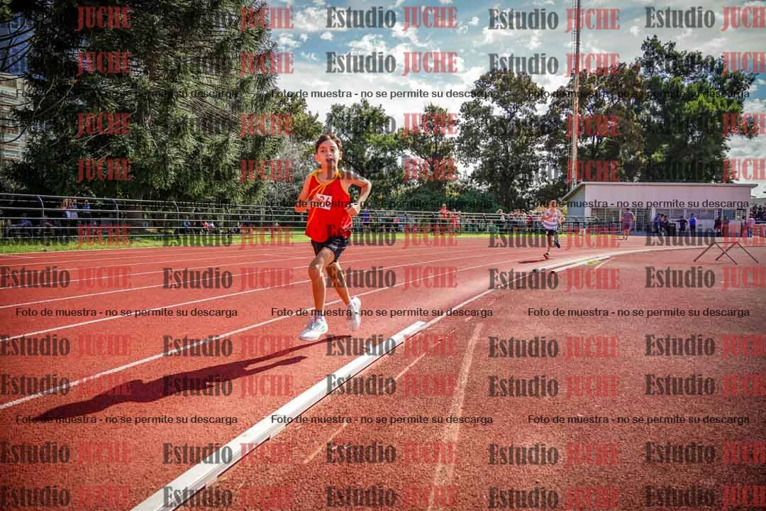 Fotos de los 1000 m llanos de varones