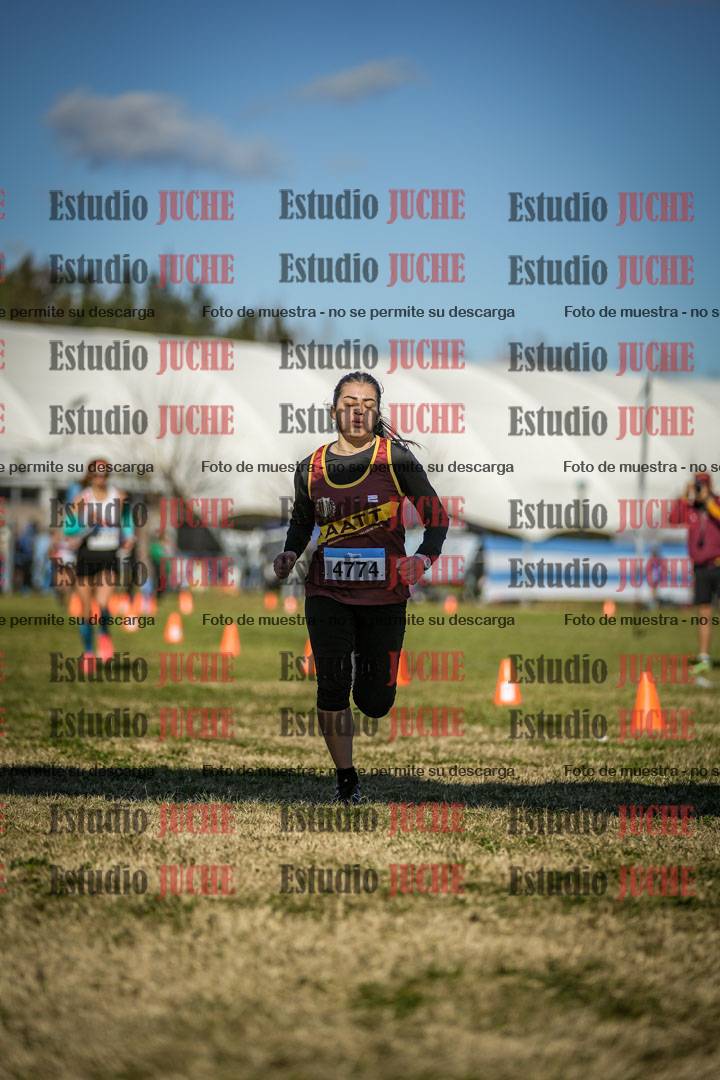 Fotos de las llegadas