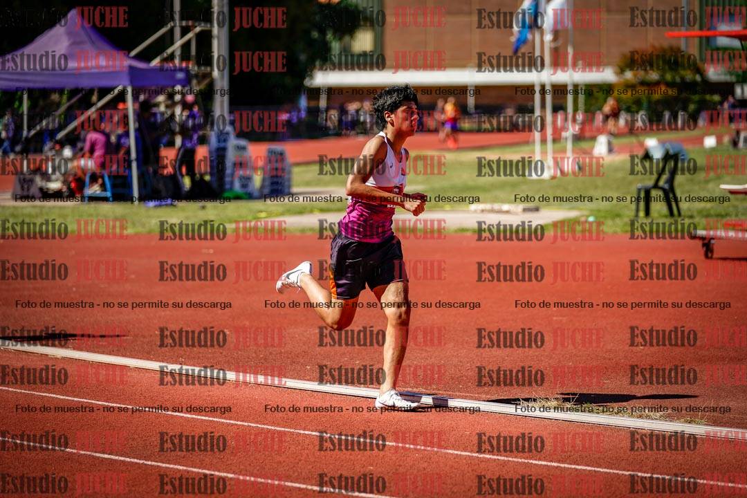 Fotos de los 800 m llanos de varones