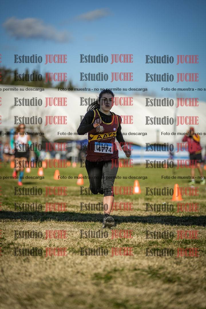 Fotos de las llegadas