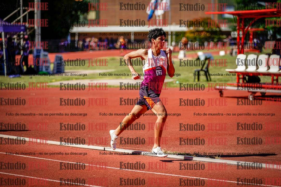 Fotos de los 800 m llanos de varones