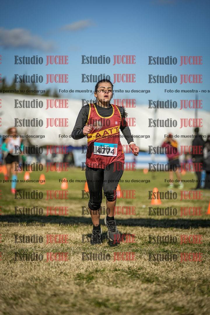 Fotos de las llegadas