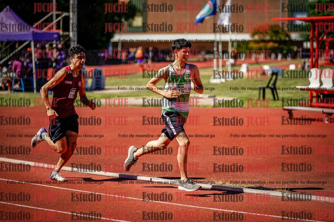 Fotos de los 800 m llanos de varones