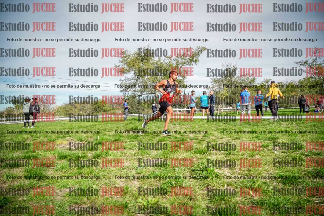 Fotos en el circuito
