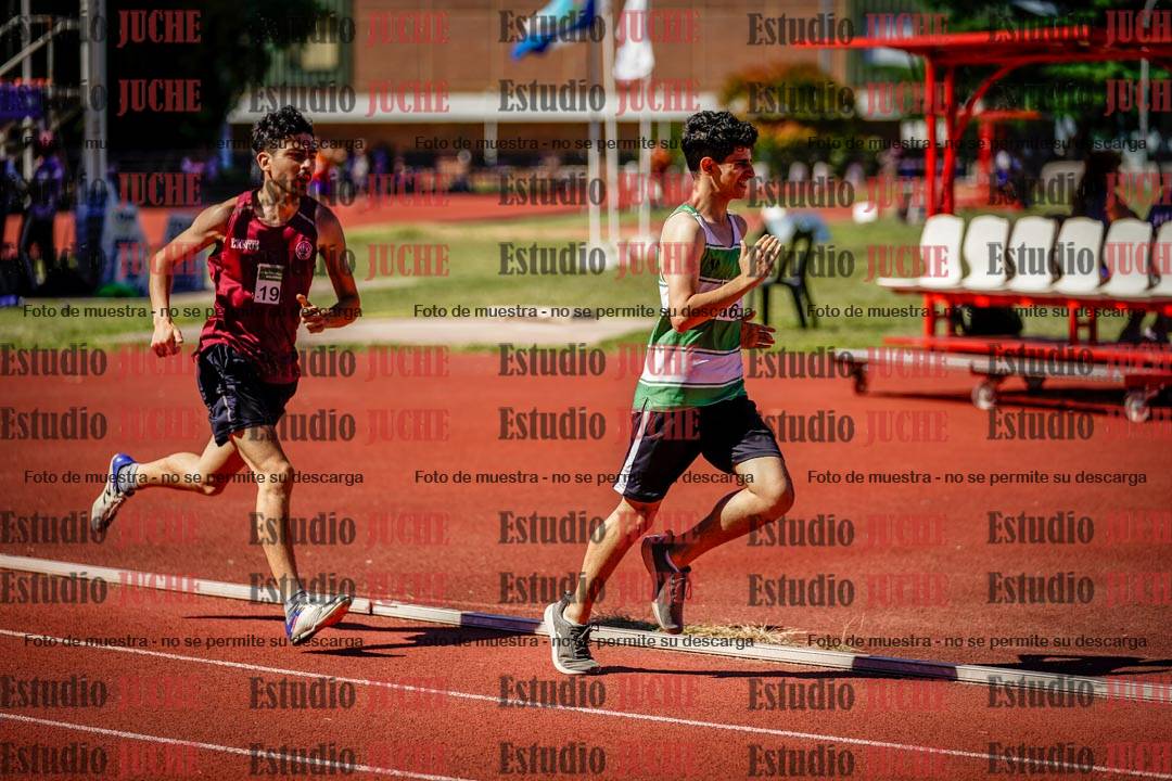 Fotos de los 800 m llanos de varones