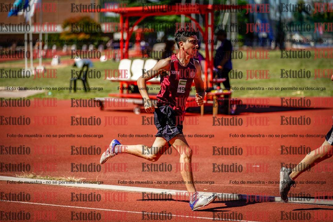 Fotos de los 800 m llanos de varones