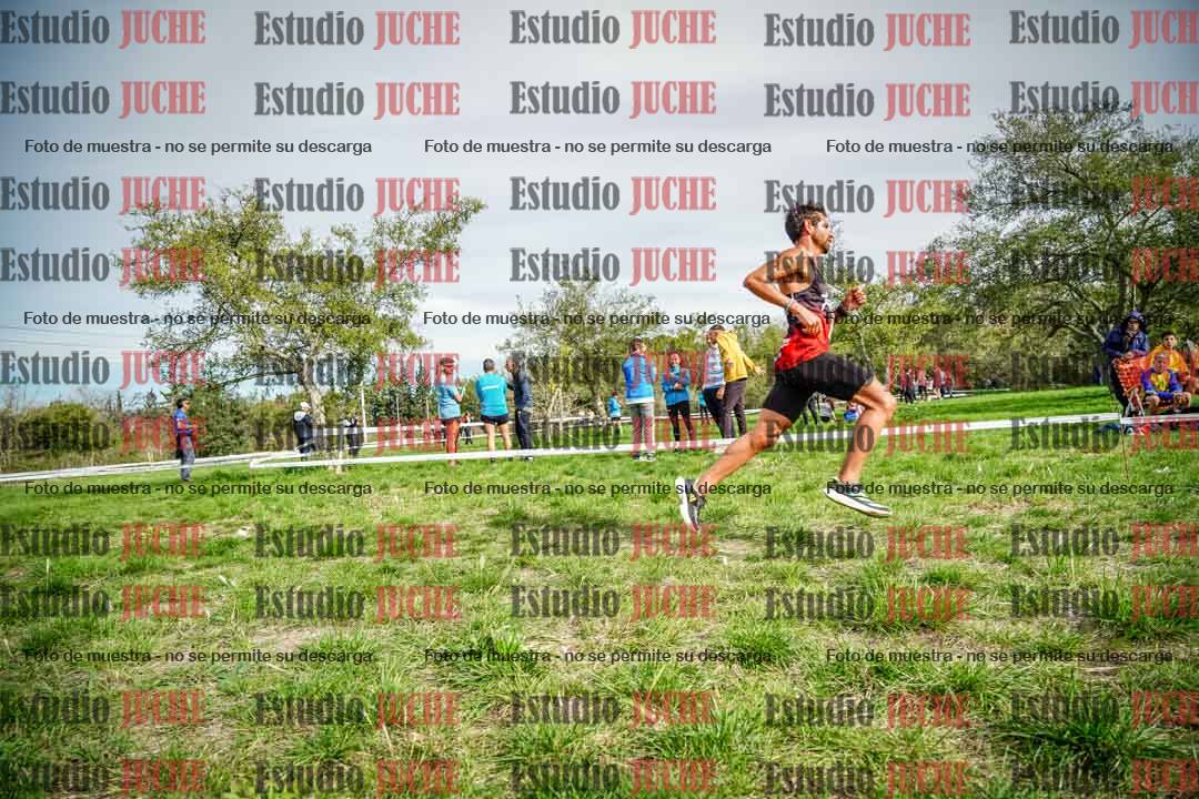 Fotos en el circuito