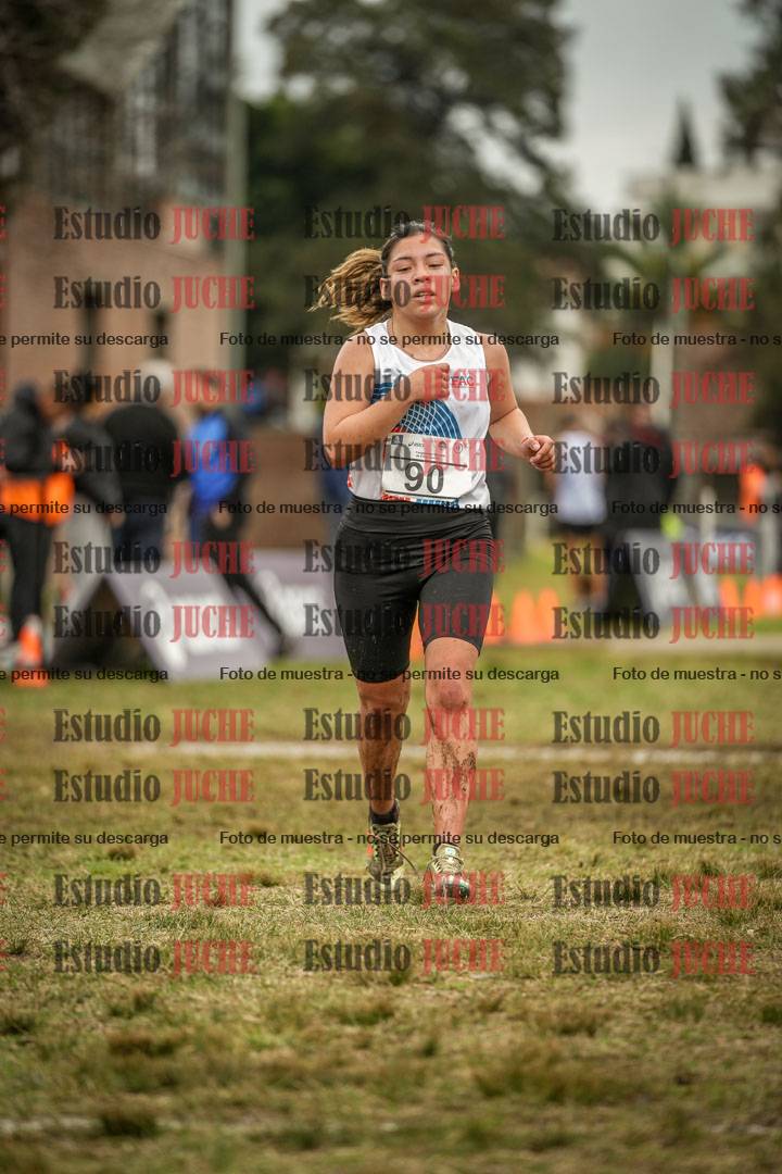 Fotos de la llegada