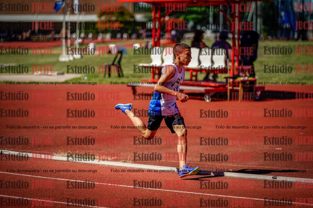 Fotos de los 800 m llanos de varones