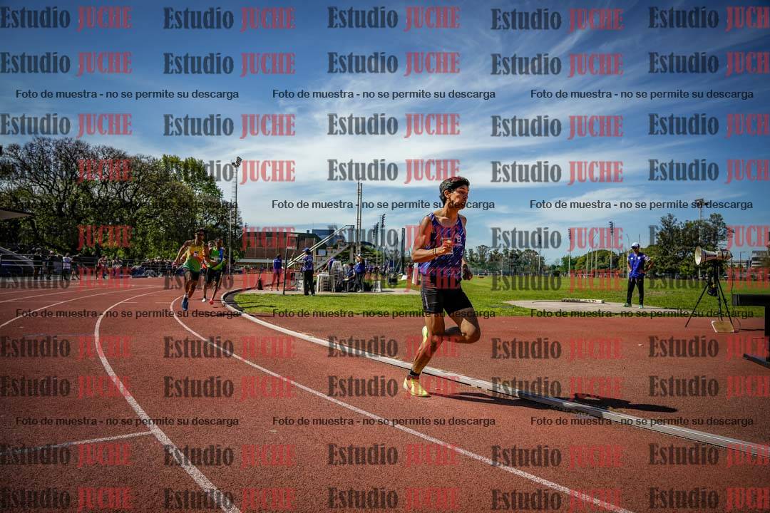 Fotos de los 800 m llanos de varones
