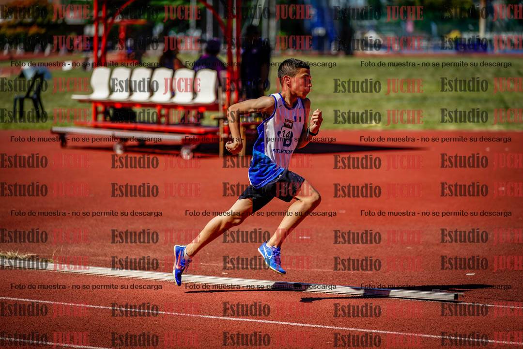 Fotos de los 800 m llanos de varones