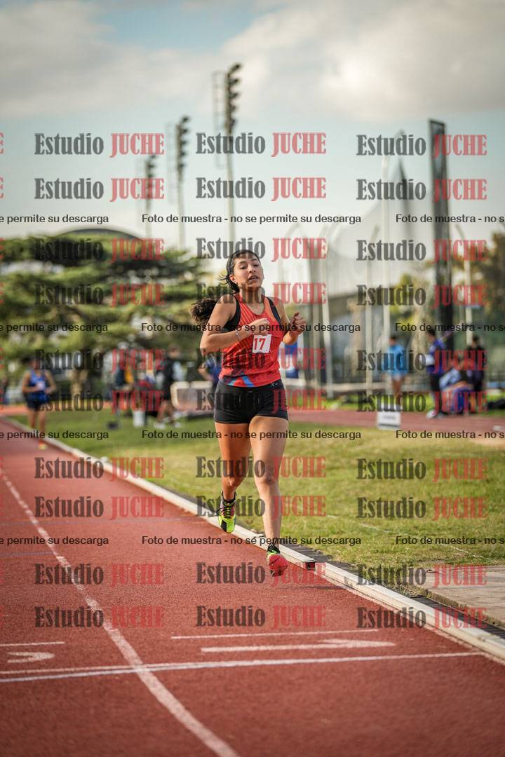 Fotos de los 1500 m llanos de mujeres