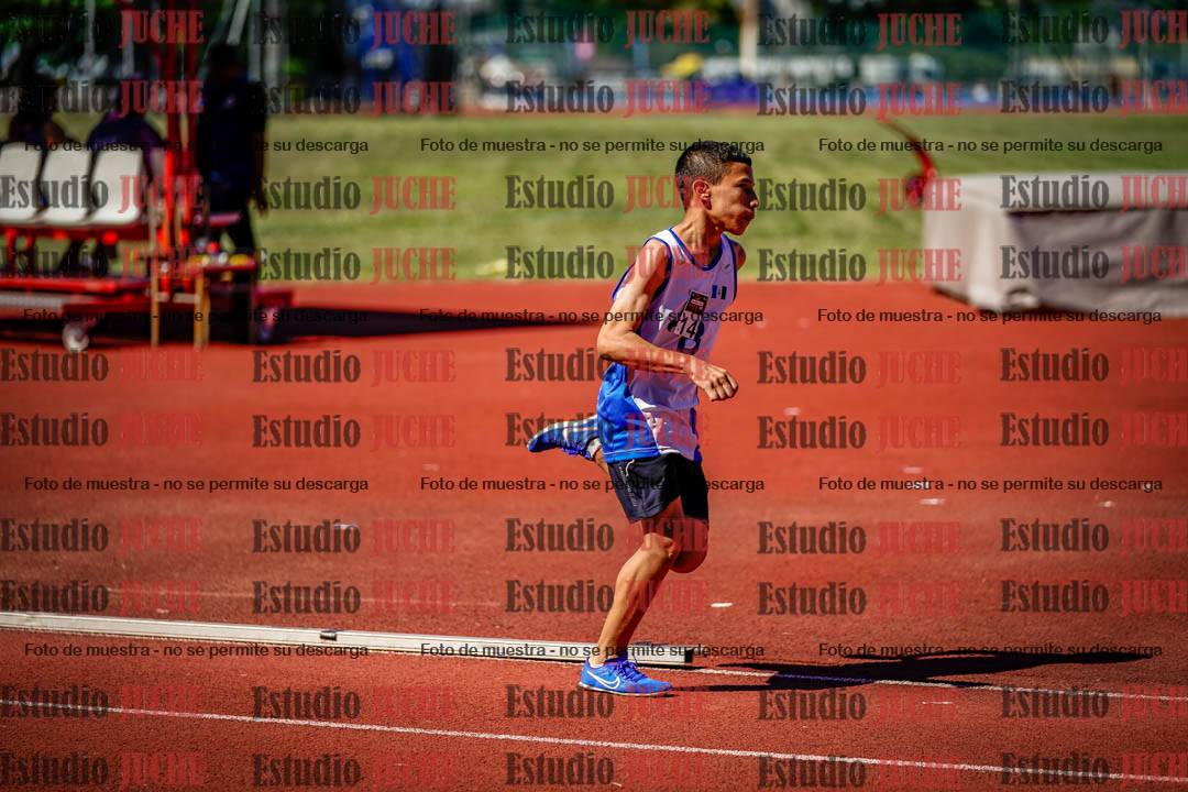 Fotos de los 800 m llanos de varones