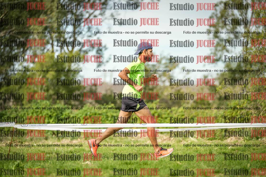 Fotos en el circuito