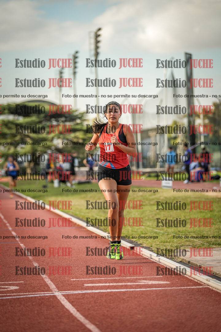 Fotos de los 1500 m llanos de mujeres