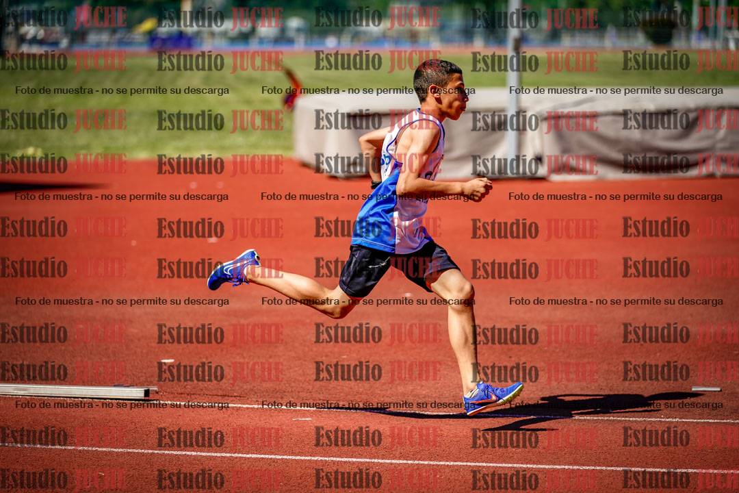 Fotos de los 800 m llanos de varones
