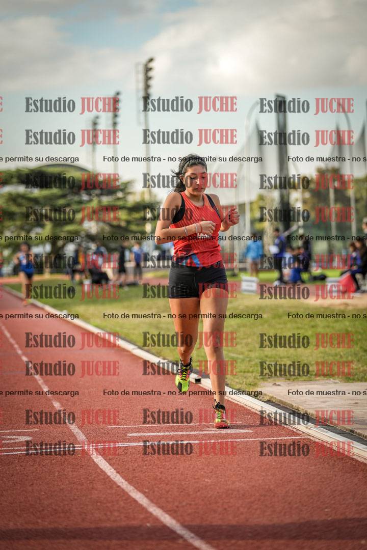 Fotos de los 1500 m llanos de mujeres